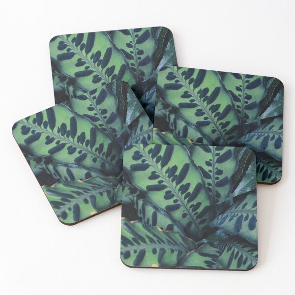 Item preview, Calathea designed and sold by Tessia Photography.