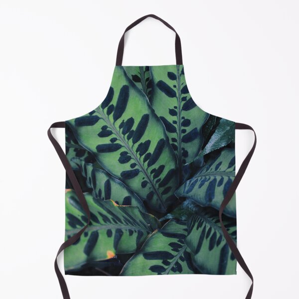 Item preview, Calathea designed and sold by Tessia Photography.