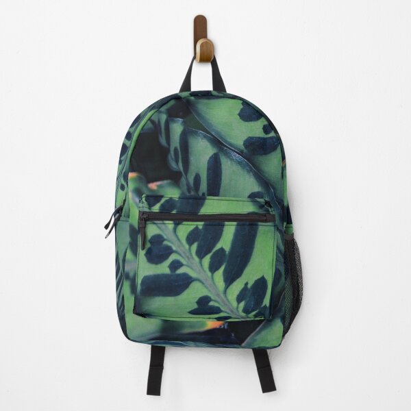 Item preview, Calathea designed and sold by Tessia Photography.