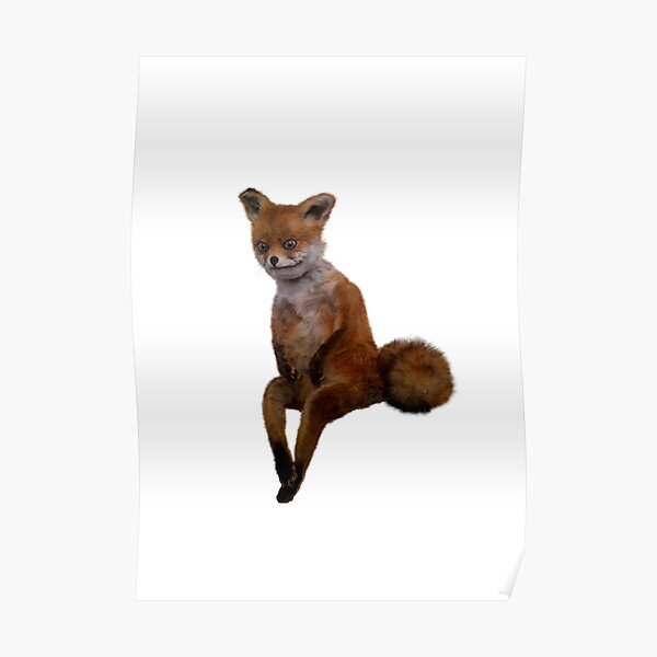 Stoned Fox Posters For Sale Redbubble