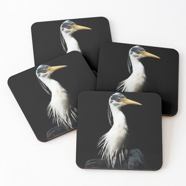 Item preview, Black bird has a style  designed and sold by Walaaghobashy.