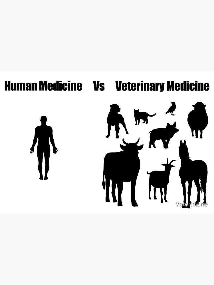 "Human Medicine Vs Veterinary Medicine" Poster by Veterimarie Redbubble