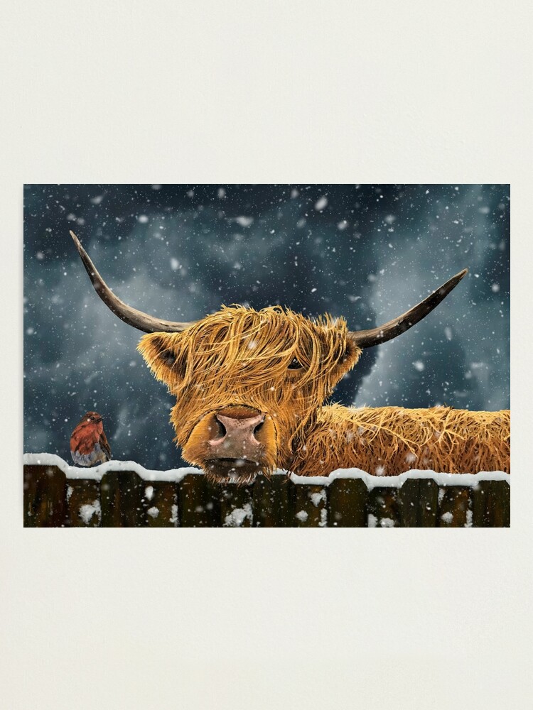Thumbnail 1 of 3, Photographic Print, Snowy Companions designed and sold by EuniceWilkie.