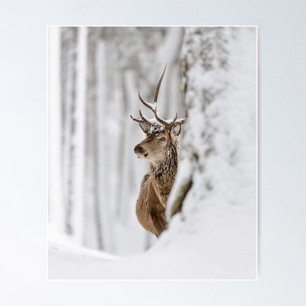  Deer In The Snow - Aesthetic Winter Unframed Poster