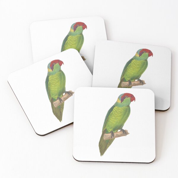Aperçu de l'œuvre Perroquet vert illustration vintage créée et vendue par BirbFriends.