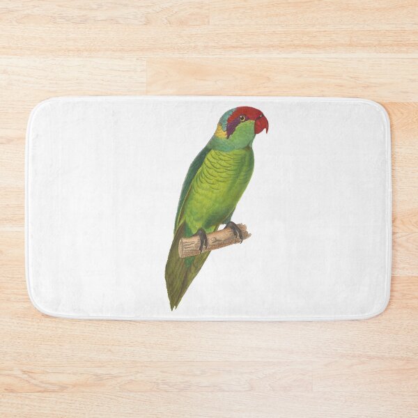 Item preview, Vintage illustration green parrot designed and sold by BirbFriends.