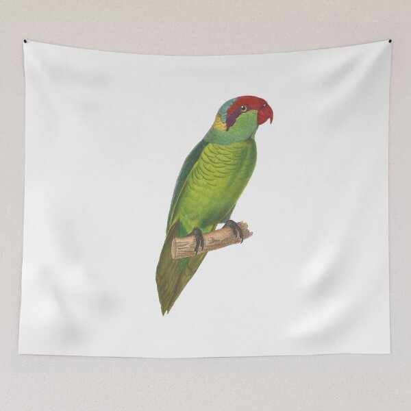Item preview, Vintage illustration green parrot designed and sold by BirbFriends.