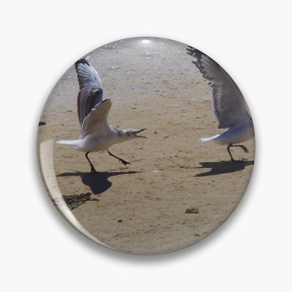 Item preview, The Chase - Gulls On Penguin Island WA designed and sold by lezvee.