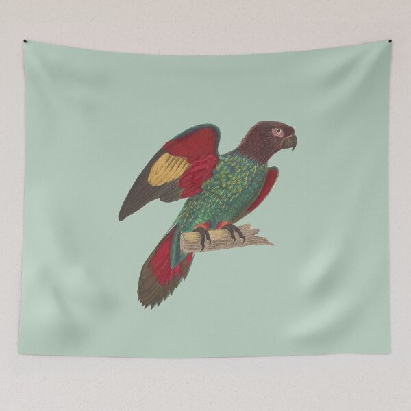 Item preview, Vintage illustration Amazonian parrot designed and sold by BirbFriends.