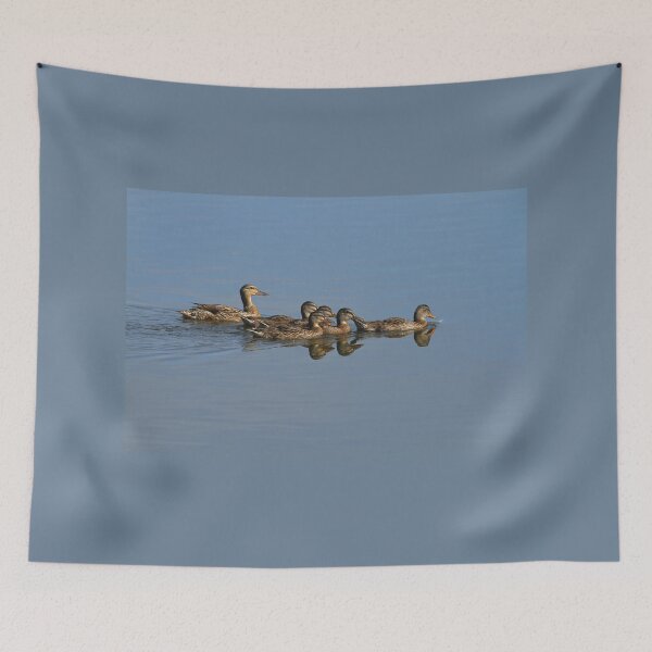 Item preview, Duck Family goes for a Swim designed and sold by PaulKPhoto.