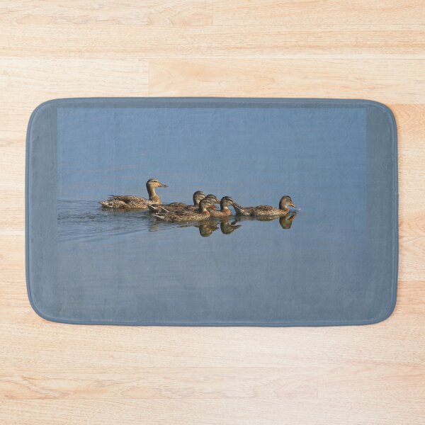 Item preview, Duck Family goes for a Swim designed and sold by PaulKPhoto.