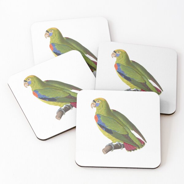 Aperçu de l'œuvre Perroquet vert illustration vintage créée et vendue par BirbFriends.