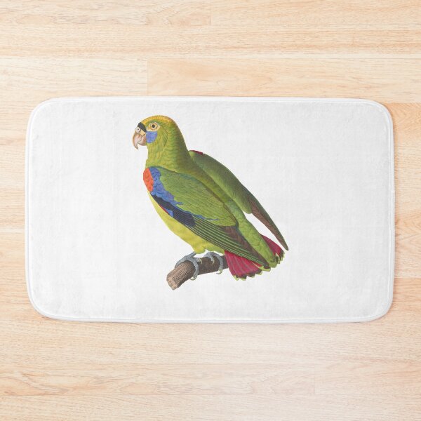 Item preview, Vintage illustration green parrot designed and sold by BirbFriends.
