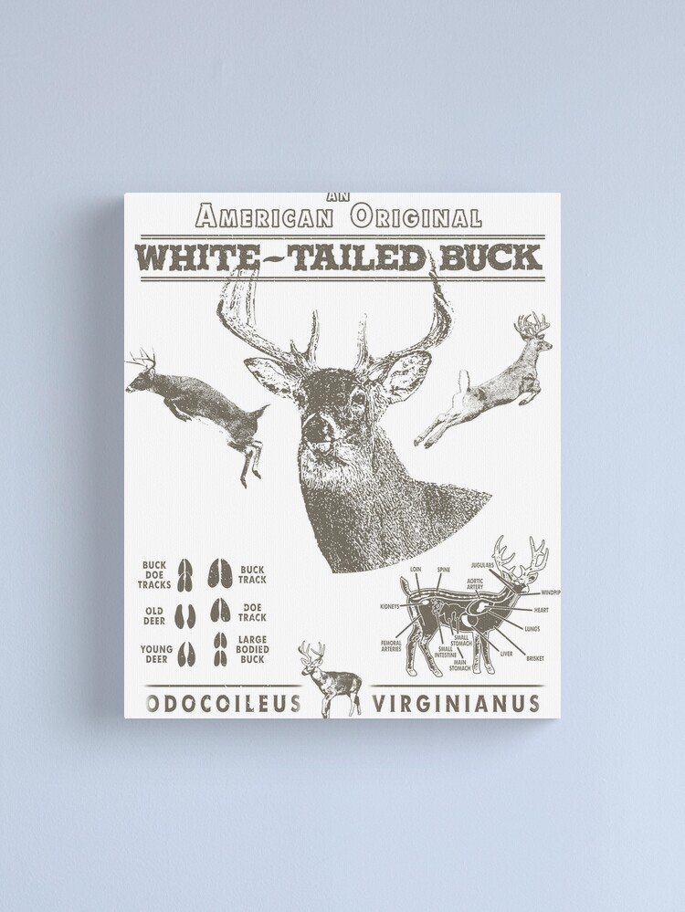 deer hoof prints - Google Search  Deer tracks, Deer decal, Deer track  tattoo