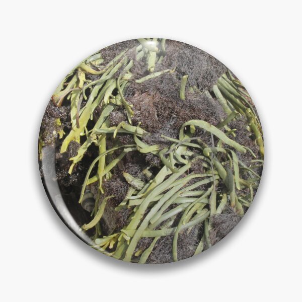 Item preview, Growing Seaweed designed and sold by lezvee.