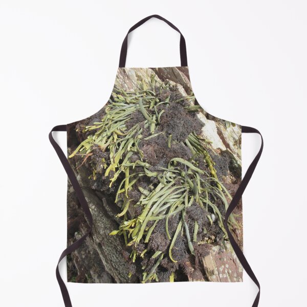 Item preview, Growing Seaweed designed and sold by lezvee.
