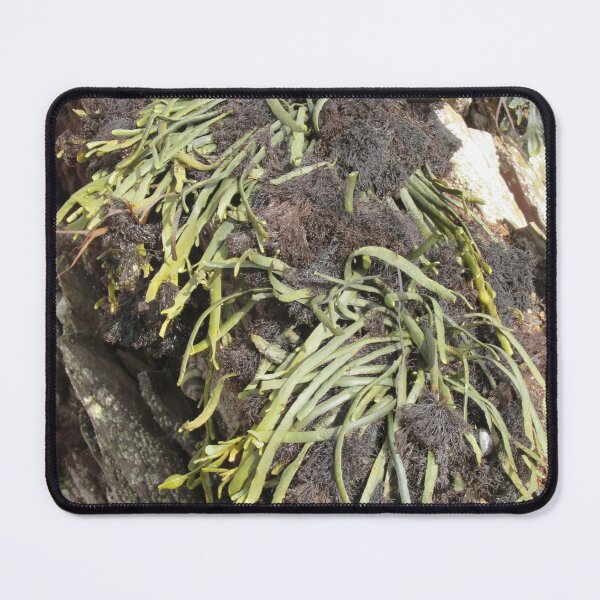 Item preview, Growing Seaweed designed and sold by lezvee.