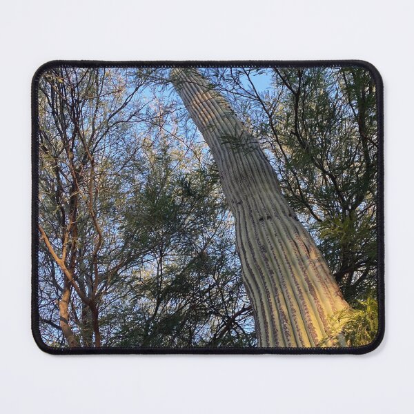 Item preview, Tall Cactus designed and sold by pinkyjainpan.