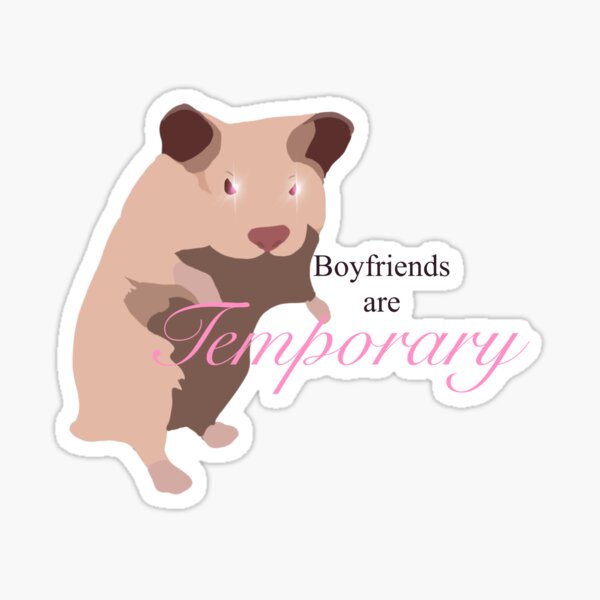 Boyfriends are temporary threatening hamster  Sticker