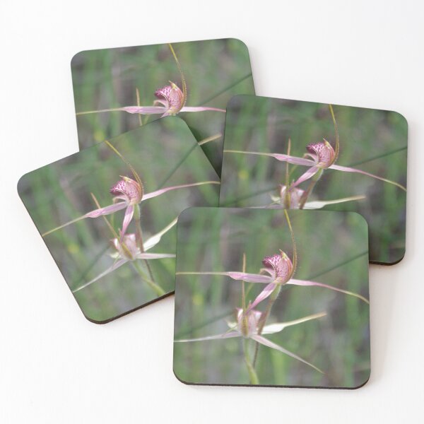 Item preview, Australian Pink Spider Orchid -Caladenia harringtoniae designed and sold by lezvee.