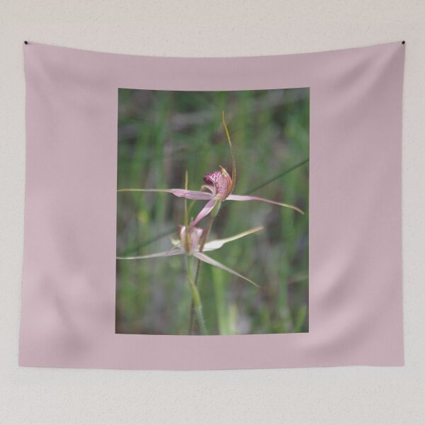 Item preview, Australian Pink Spider Orchid -Caladenia harringtoniae designed and sold by lezvee.