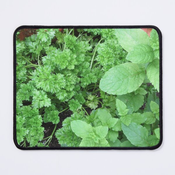 Item preview, Mint And Parsley designed and sold by lezvee.