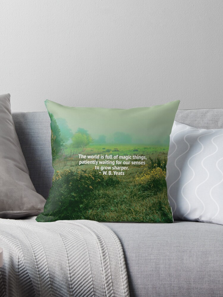 The sharper shop image pillow