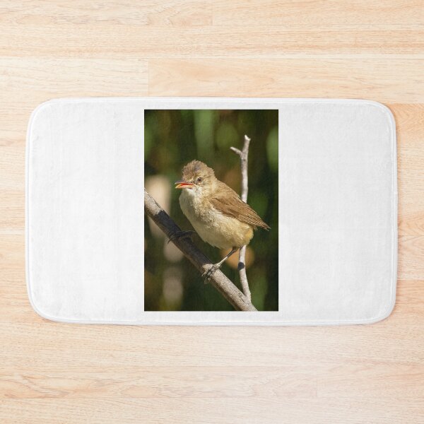 Item preview, Juvenile Reed Warbler designed and sold by David  Hibberd.