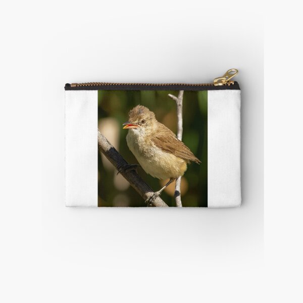 Item preview, Juvenile Reed Warbler designed and sold by David  Hibberd.