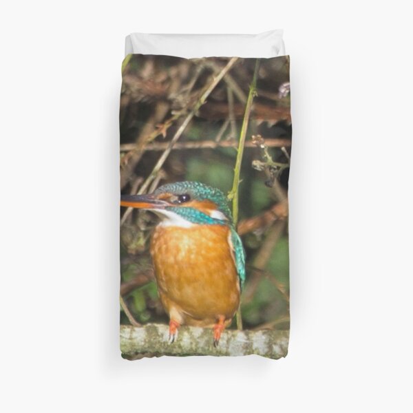 Female Kingfisher Duvet Cover