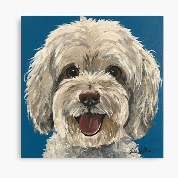 Maltipoo Dog art Canvas Print