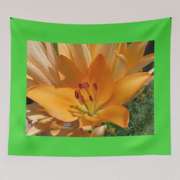 Item preview, Orange Lily in Bloom designed and sold by SillaHoekstra.