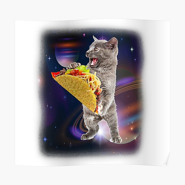 taco cat in space