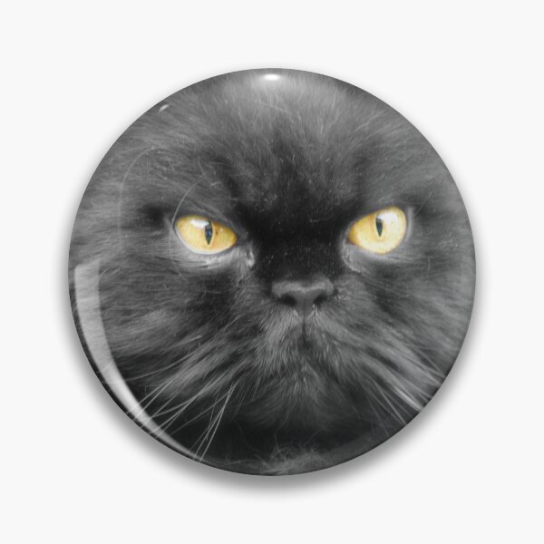 Item preview, Persian cat designed and sold by Brad F.
