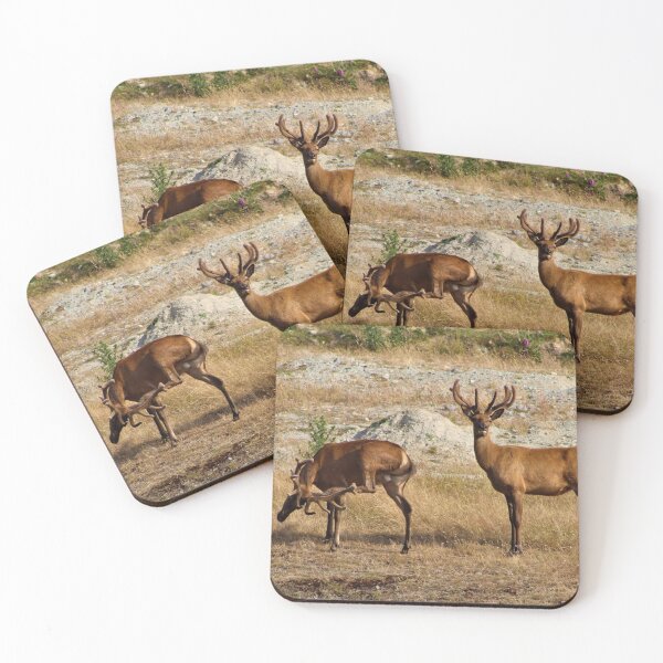 Item preview, NZ Red Deer Stags with Antlers  designed and sold by Louisa Sahin.