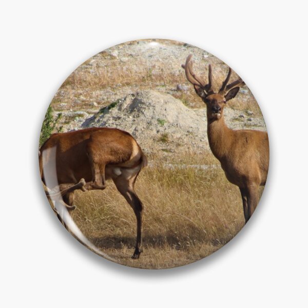 Item preview, NZ Red Deer Stags with Antlers  designed and sold by Louisa Sahin.