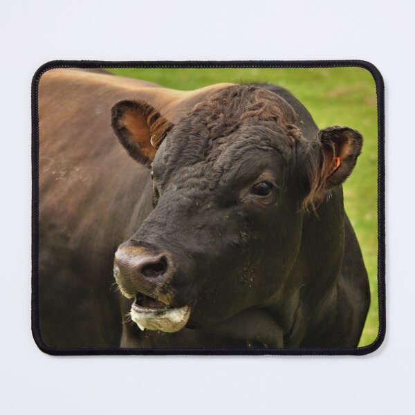 Item preview, Jersey Bull designed and sold by Louisa Sahin.