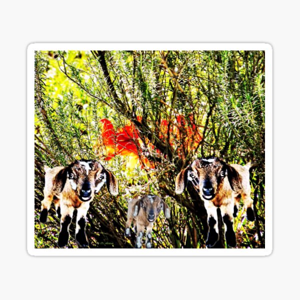 Item preview, Garden Goats designed and sold by kristalcurt.