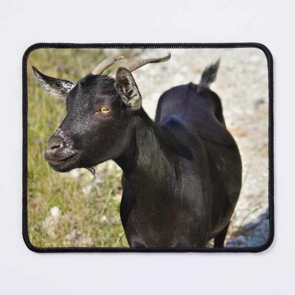 Item preview, Feral Black Goat designed and sold by Louisa Sahin.