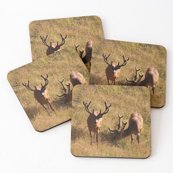 Item preview, Two Red Deer Stags, New Zealand designed and sold by Louisa Sahin.