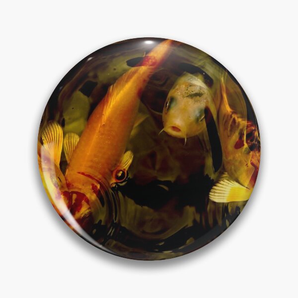 Item preview, Orange and white koi fish photographed in dark tones. designed and sold by Roselove4869.