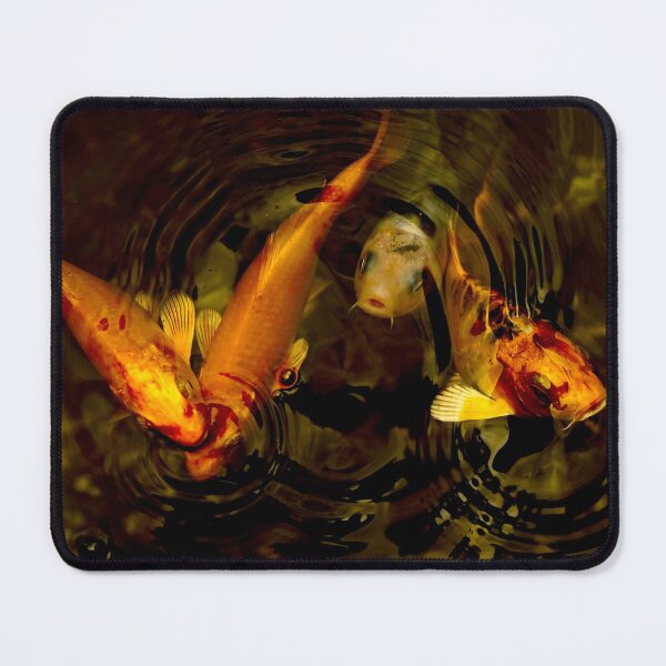 Item preview, Orange and white koi fish photographed in dark tones. designed and sold by Roselove4869.