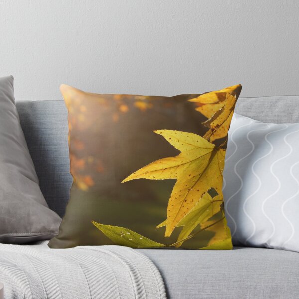Item preview, Sweet Gum in Late Autumn Sun designed and sold by Kent Nickell.