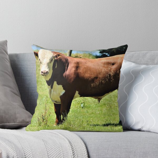 Item preview, Hereford Bull  designed and sold by Louisa Sahin.