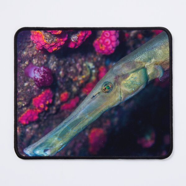 Item preview, Trumpetfish designed and sold by tank200bar.