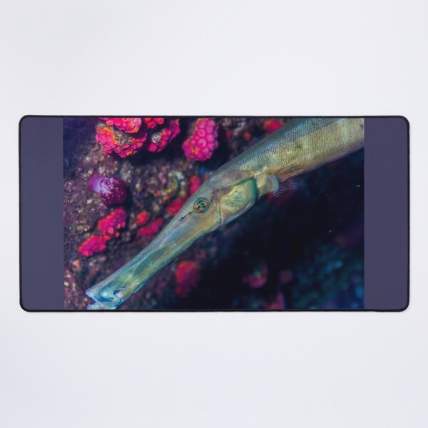 Item preview, Trumpetfish designed and sold by tank200bar.