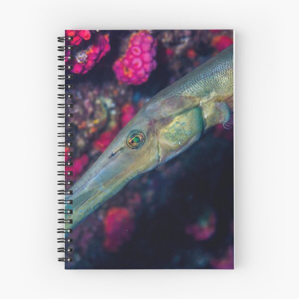 Item preview, Trumpetfish designed and sold by tank200bar.