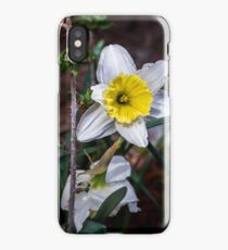 Contrasting Nature iPhone Case