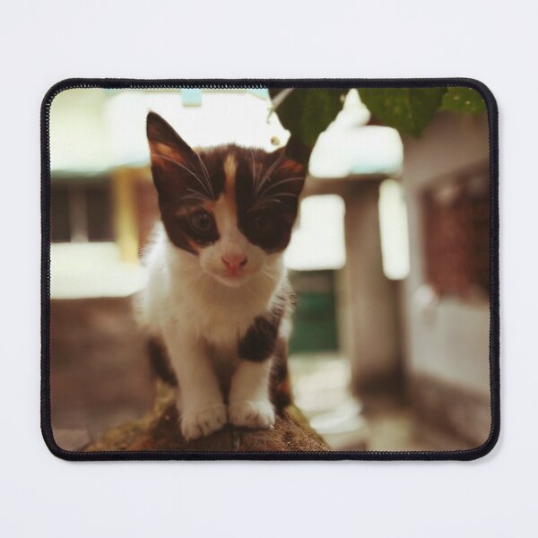 Item preview, Curiosity designed and sold by AdiKash.