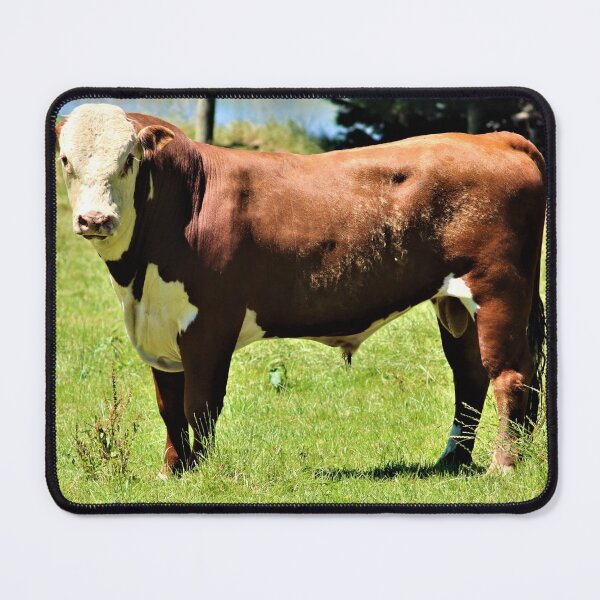 Item preview, Hereford Bull  designed and sold by Louisa Sahin.